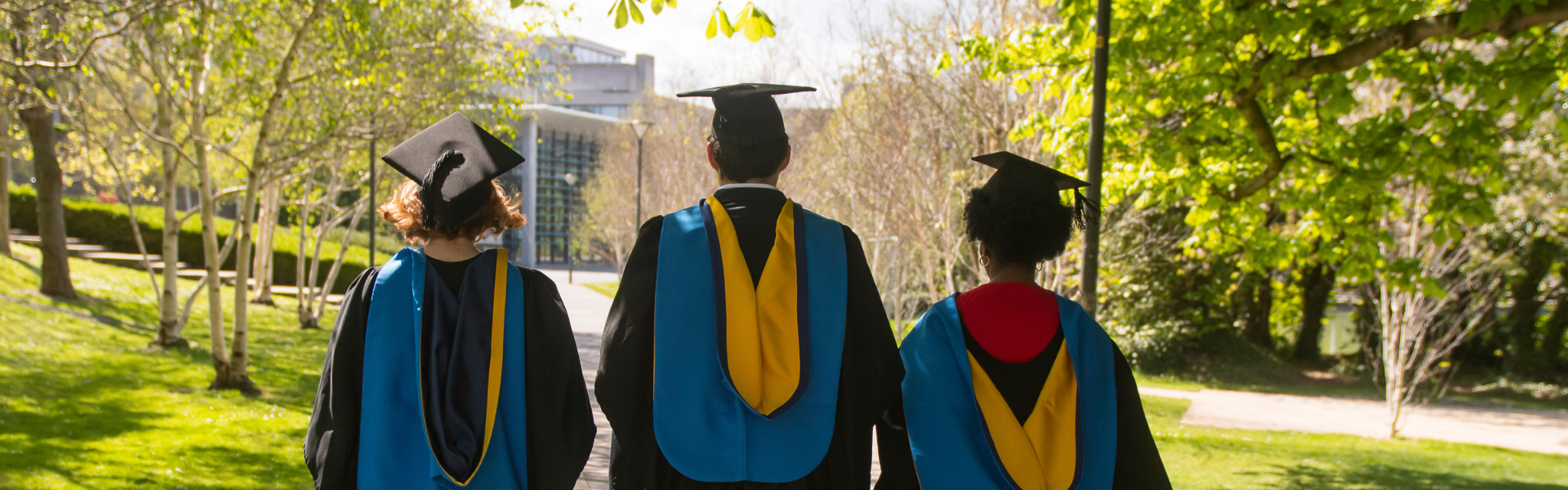 Three UCD alumni on the day of their graduation, wearing caps and gowns, with their backs turned to the camera.